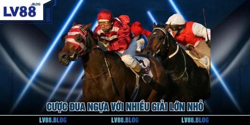 Cược đua ngựa với nhiều giải lớn nhỏ